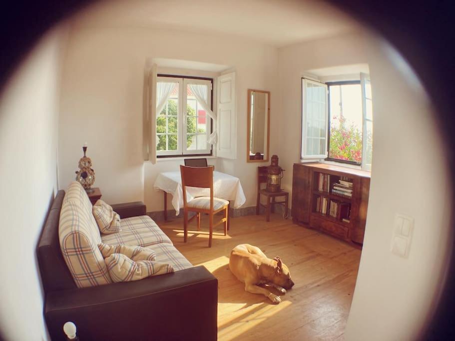 Vila Challet Ericeira Exteriér fotografie